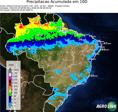 10 dias