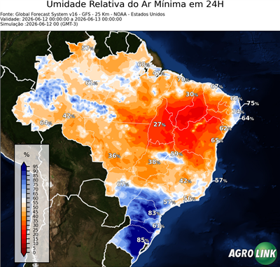 24 horas