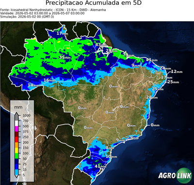 5 dias
