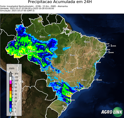 24 horas