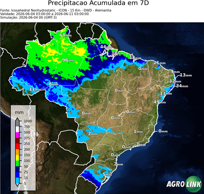 7 dias