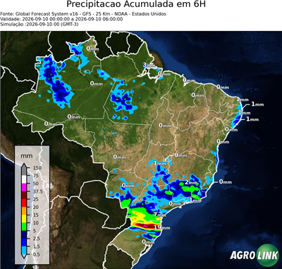 6 horas