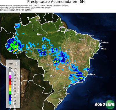 6 horas