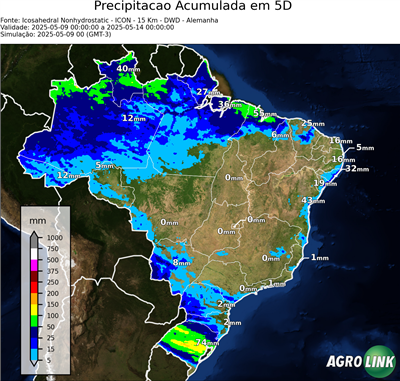 5 dias