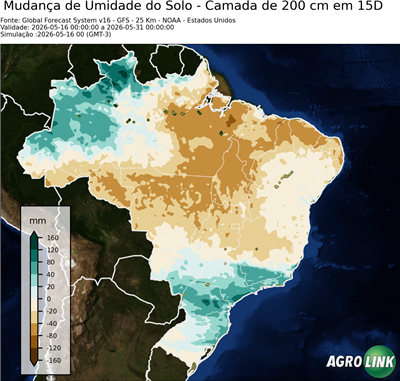 15 dias