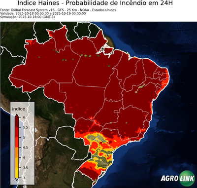 24 horas