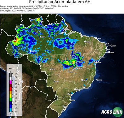 6 horas