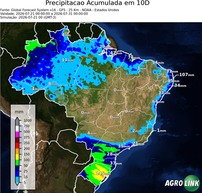 10 dias