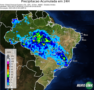 24 horas