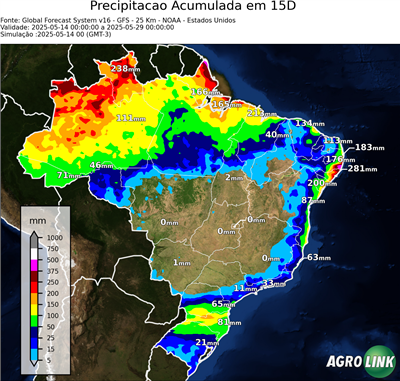 15 dias