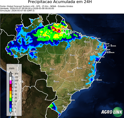 24 horas