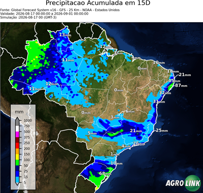 15 dias