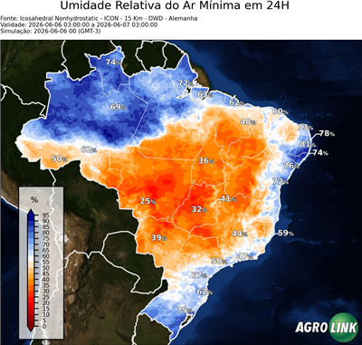 24 horas