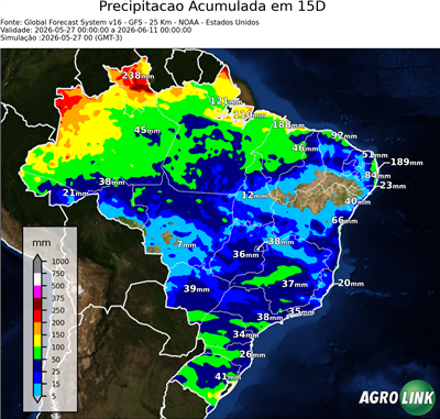 15 dias