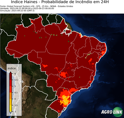 24 horas