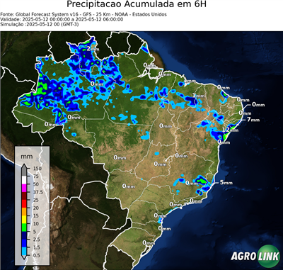 6 horas