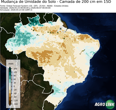 15 dias
