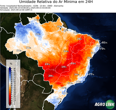 24 horas