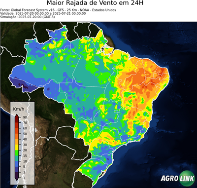 24 horas