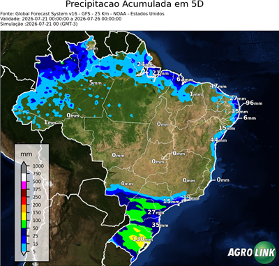 5 dias
