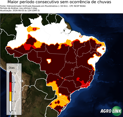 5 dias