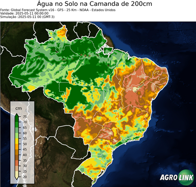 24 horas