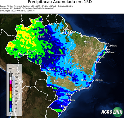 15 dias