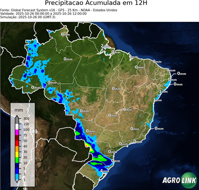 12 horas
