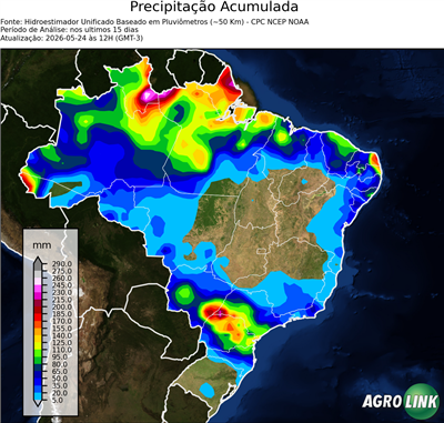 15 dias