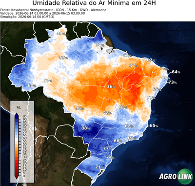 24 horas