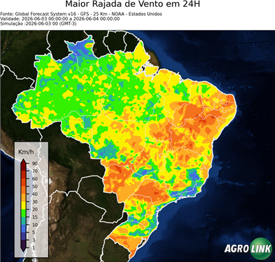 24 horas