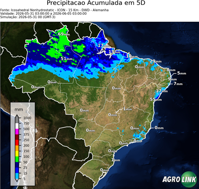 5 dias