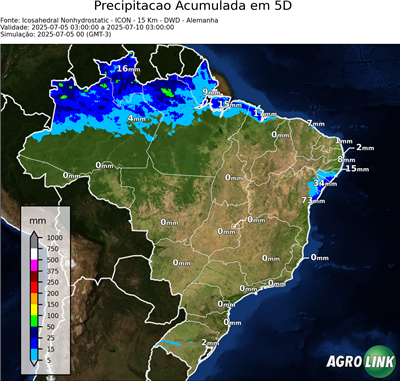 5 dias