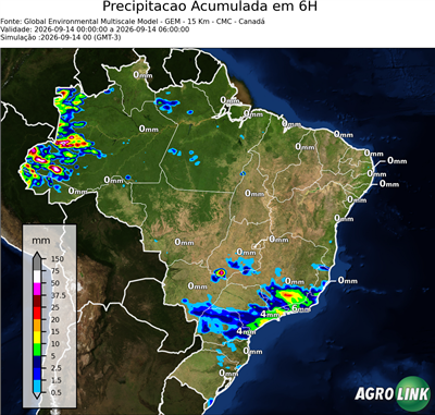 6 horas