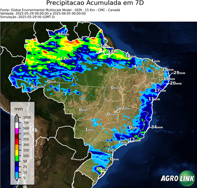 10 dias