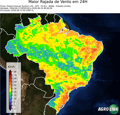 24 horas