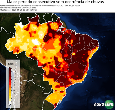 15 dias