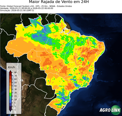24 horas