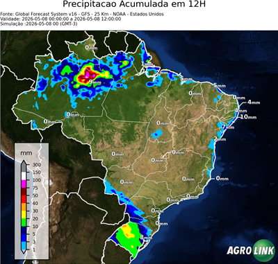 12 horas