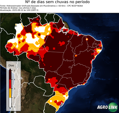 5 dias