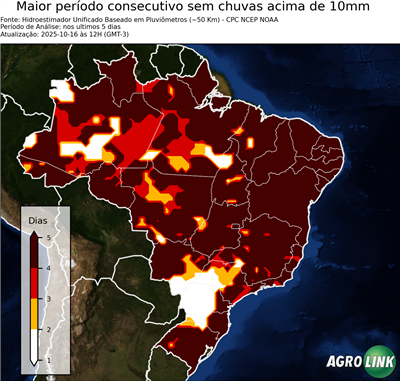 5 dias