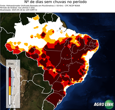 5 dias