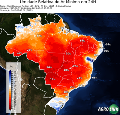 24 horas
