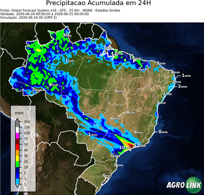 24 horas