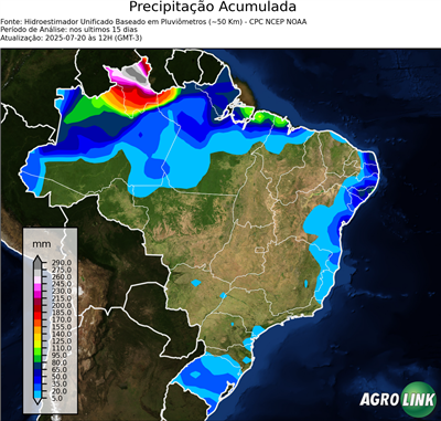 15 dias