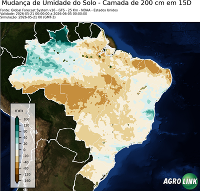 15 dias