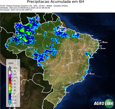6 horas