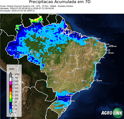 7 dias