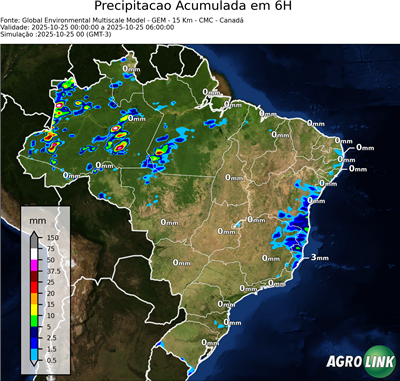 6 horas