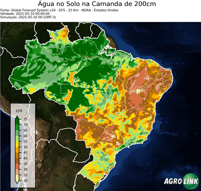 24 horas